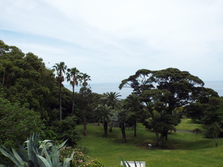 DSCF7920.JPG